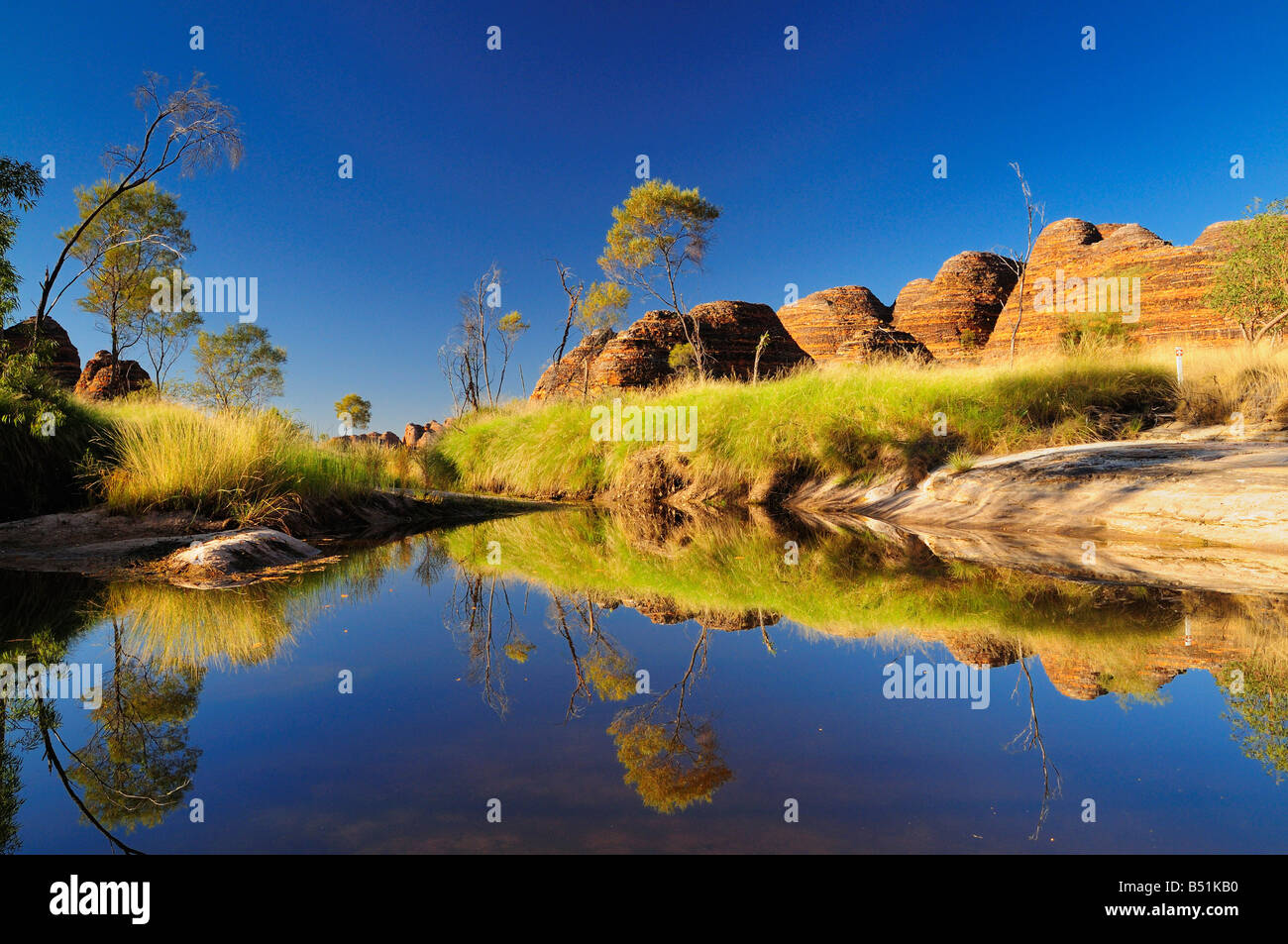 The Domes, Bungle Bungle Range, Purnululu National Park, Kimberley, Western Australia, Australia Stock Photo