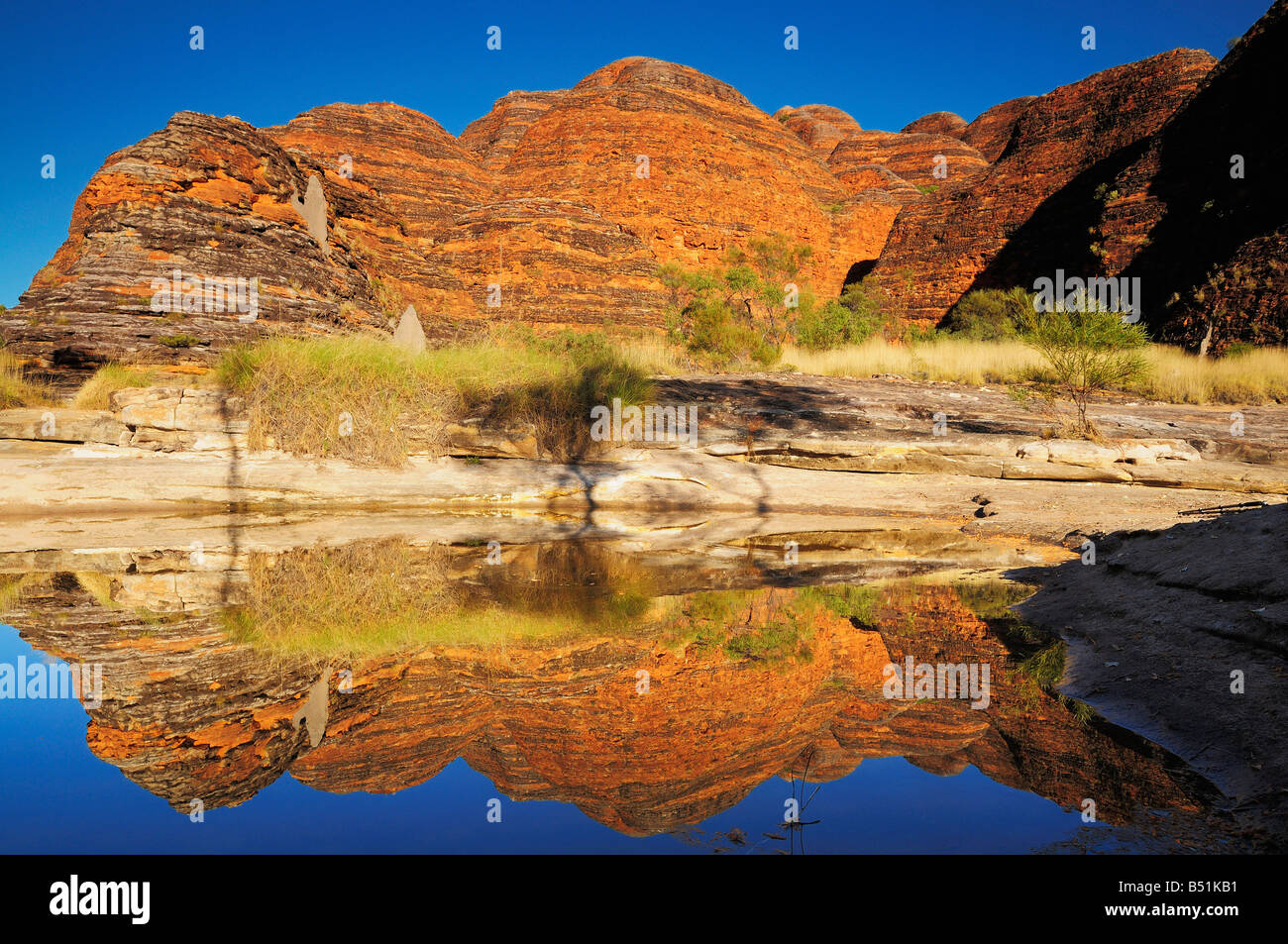 The Domes, Bungle Bungle, Purnululu National Park, Kimberley, Western Australia, Australia Stock Photo