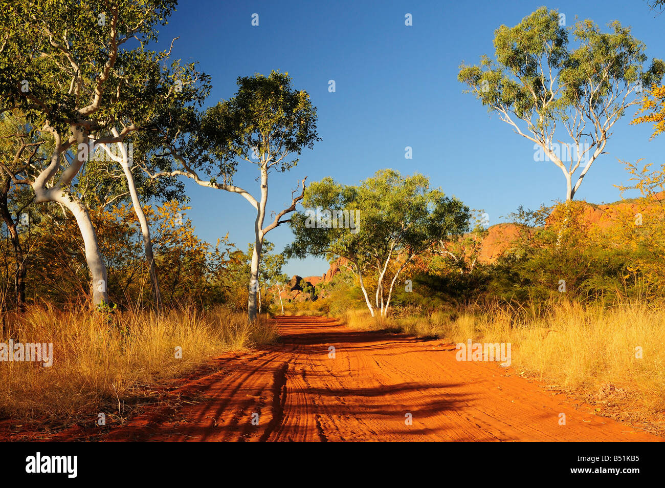 Road in Purnululu National Park, Kimberley, Western Australia, Australia Stock Photo