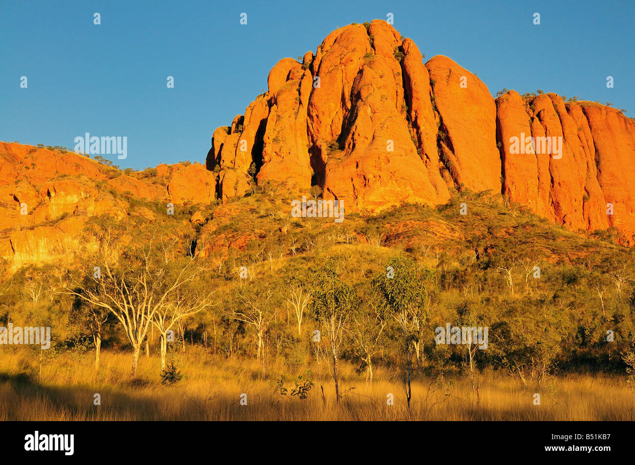 Bungle Bungle Range, Purnululu National Park, Kimberley, Western Australia, Australia Stock Photo