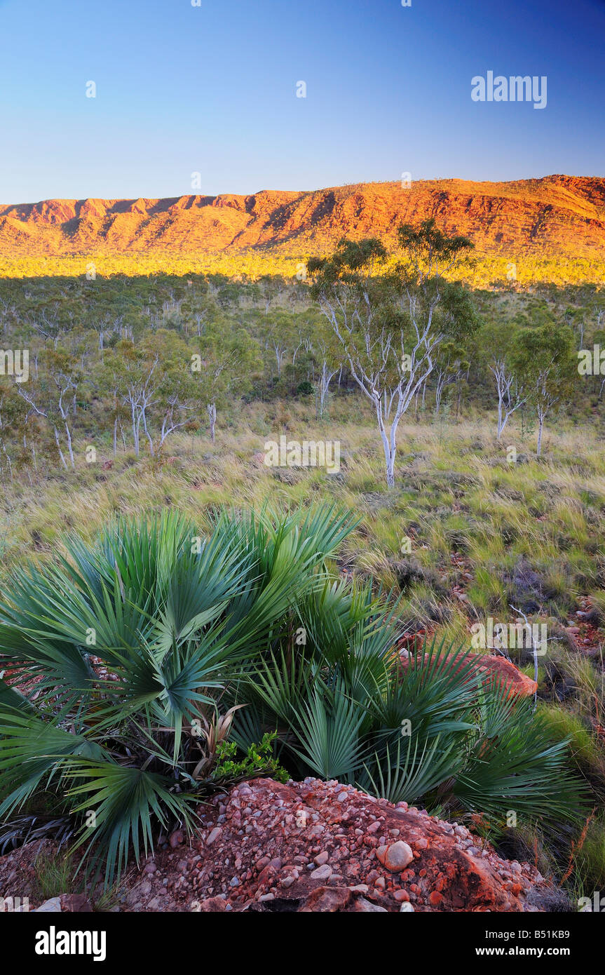 Osmand Range, Purnululu National Park, Kimberley, Western Australia, Australia Stock Photo