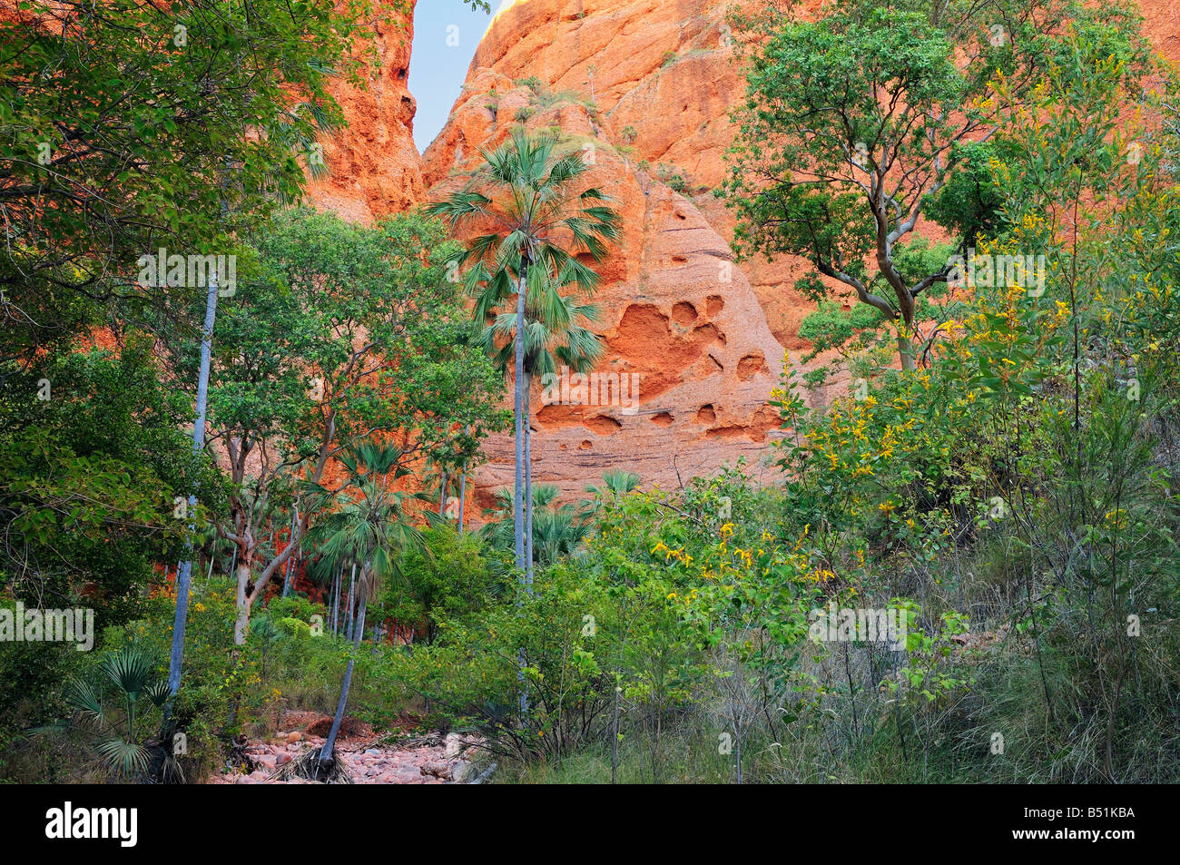 Echidna Chasm, Bungle Bungle, Purnululu National Park, Kimberley, Western Australia, Australia Stock Photo