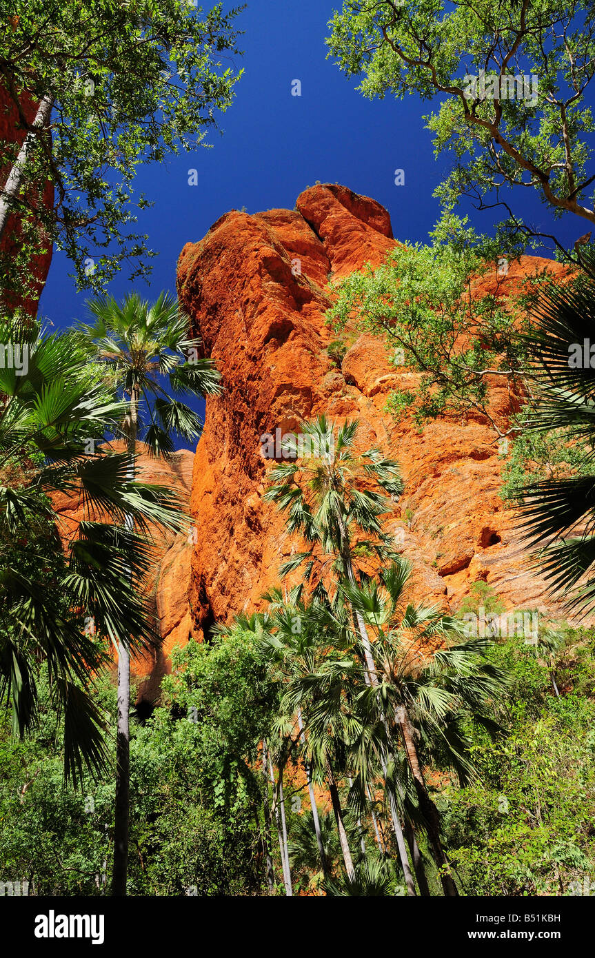 Mini Palms Gorge, Bungle Bungle, Purnululu National Park, Kimberley, Western Australia, Australia Stock Photo
