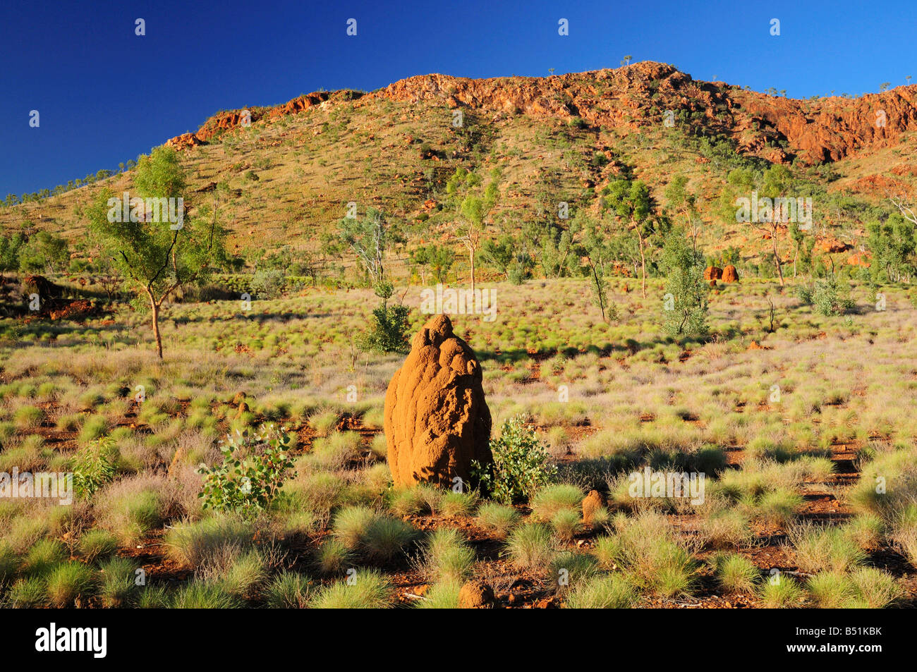 Termite Mound and Osmand Range, Kimberley, Western Australia, Australia Stock Photo