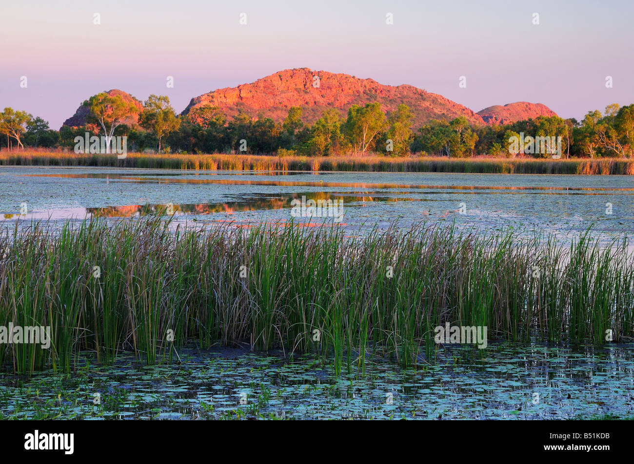 Lake Kununurra, Kimberley, Western Australia, Australia Stock Photo
