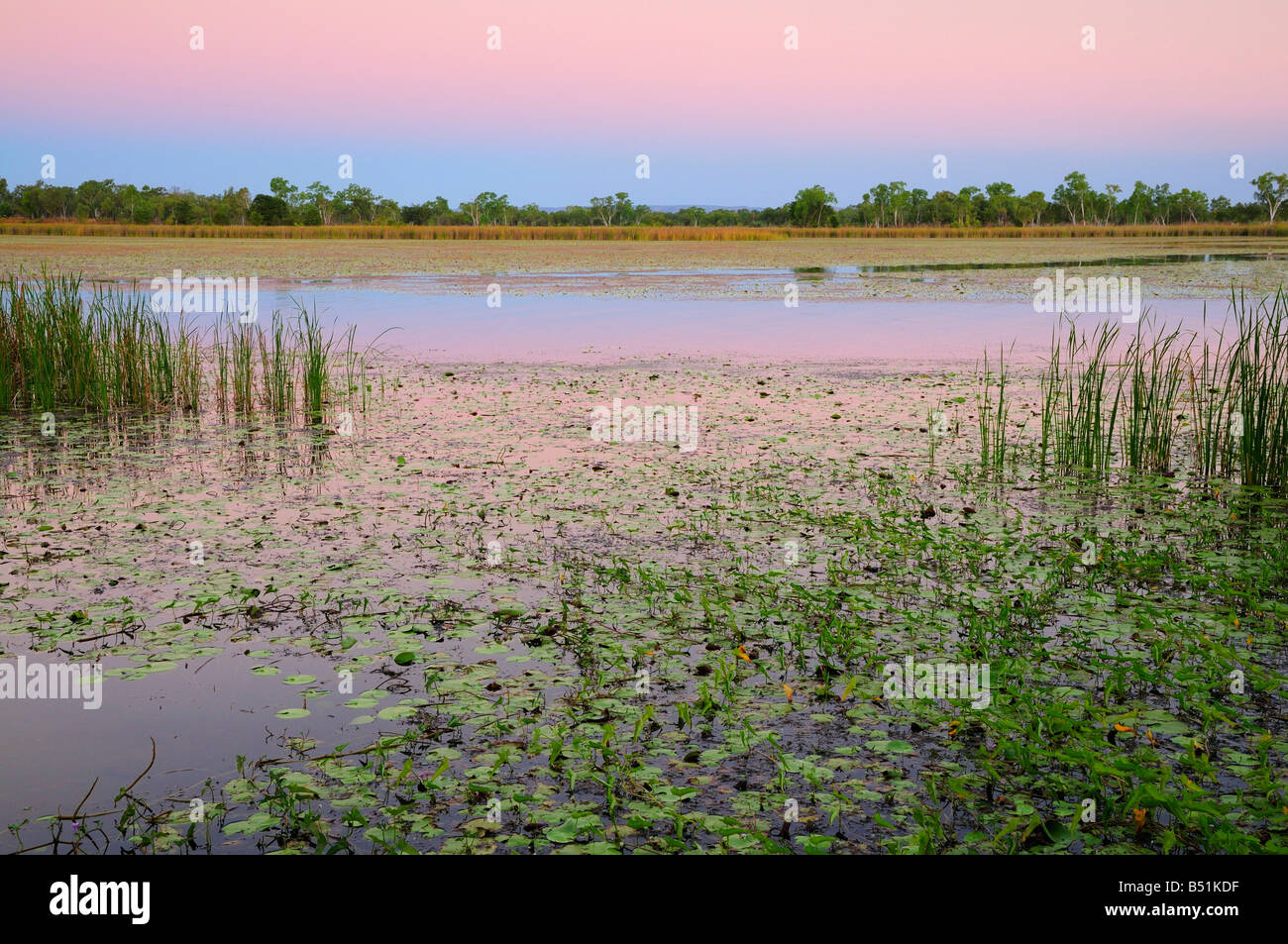 Lake Kununurra, Kimberley, Western Australia, Australia Stock Photo
