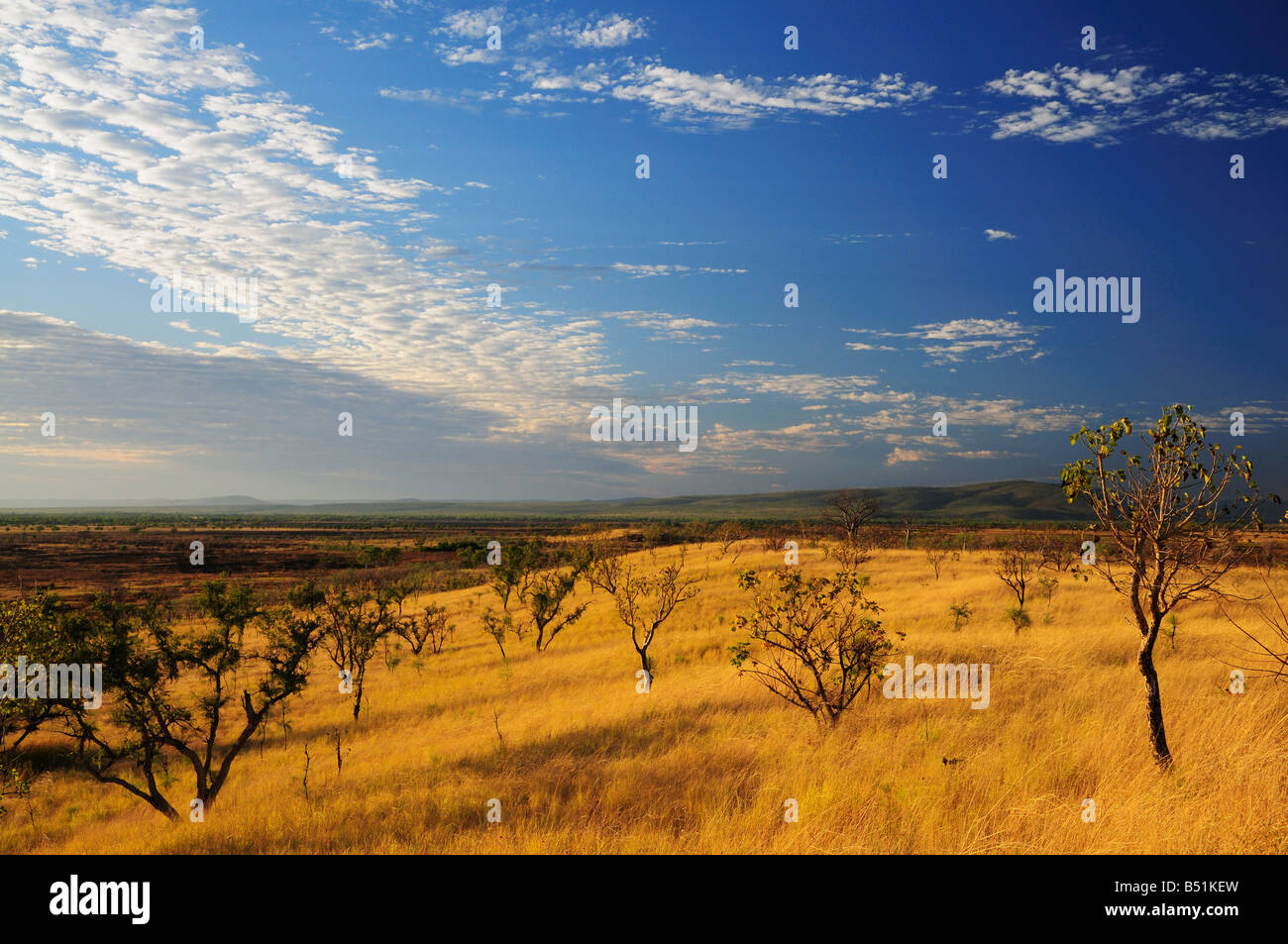 Scenery near Wyndham, Kimberley, Western Australia, Australia Stock Photo