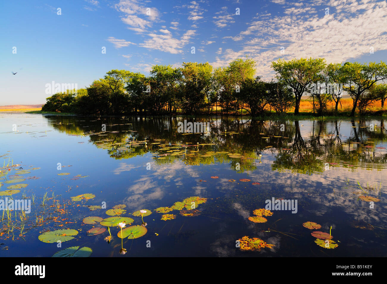 Parry Lagoons, Wyndham, Kimberley, Western Australia, Australia Stock Photo