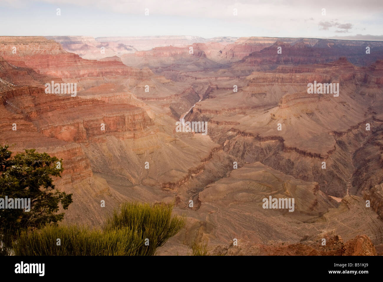 Grand Canyon, Arizona, USA Stock Photo