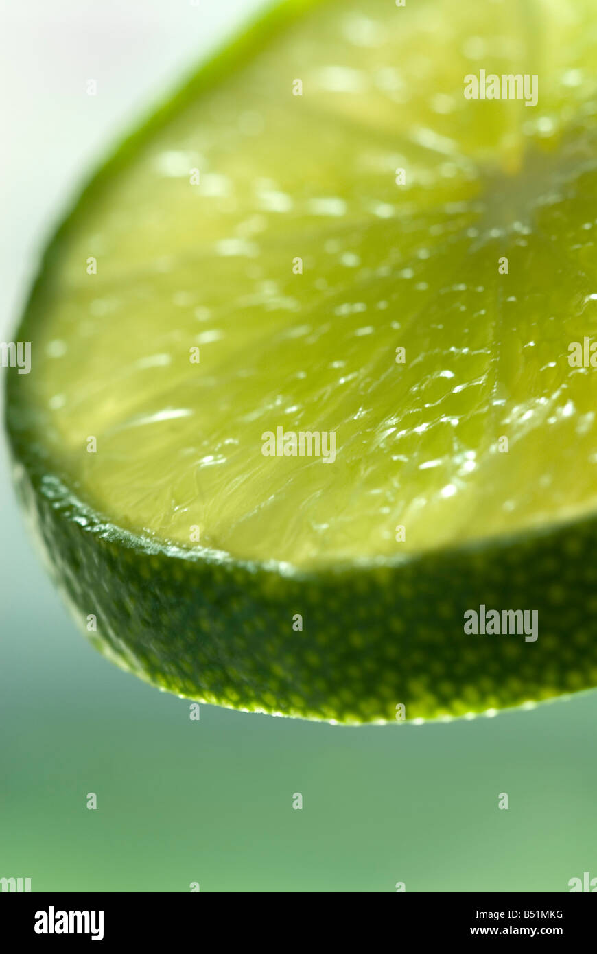 Slice of Lime Stock Photo Alamy