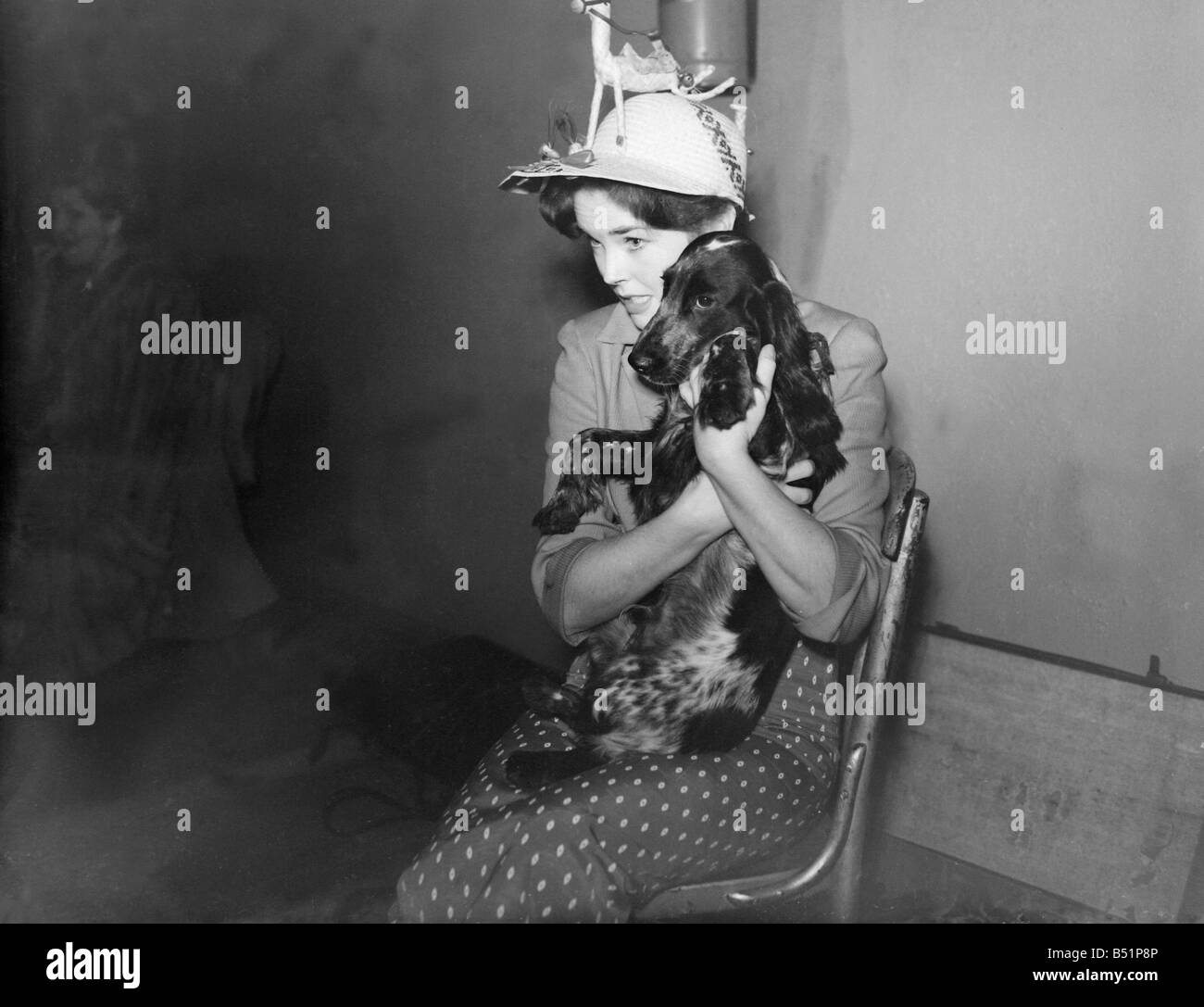 Dawn Addams;seen here with her dog, Whistler at rehearsals for the Royal Film Performance, Dominion, Tottenham Court Road, London;4/11/1951;Staff Sidey;B5228/1;B5228/1 Stock Photo