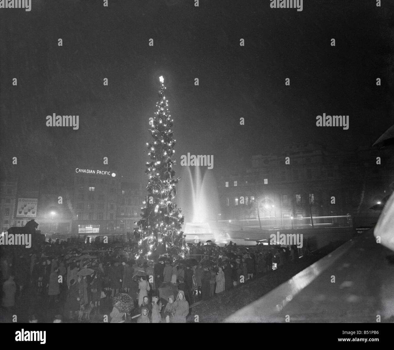 Norwegian Xmas Tree presented by people of "Oslo," and carol "singing," Trafalgar Square Bennett Staff Photographer 21/12/1951 Stock Photo