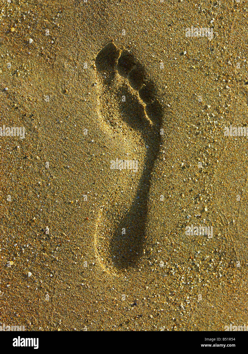Foot print in the sand Stock Photo - Alamy