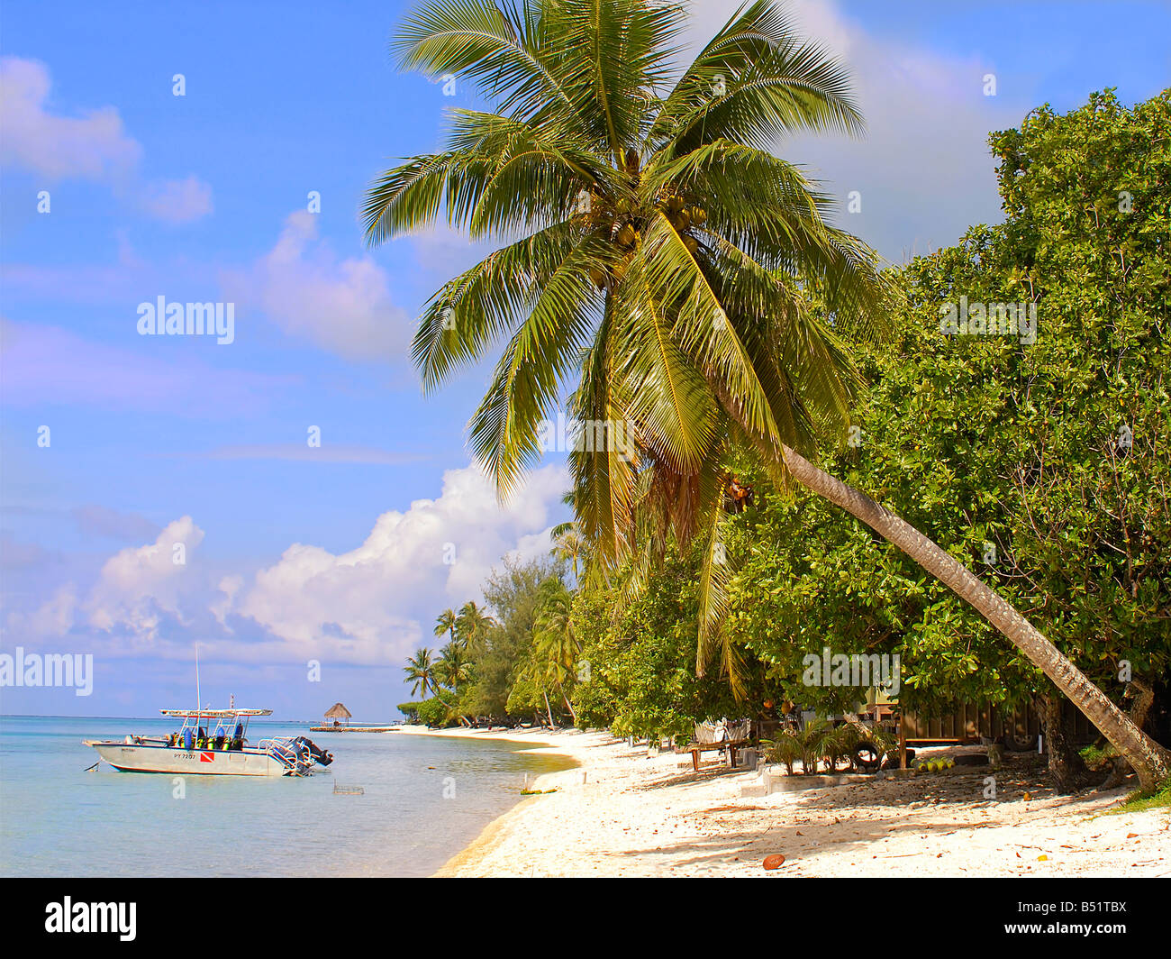 Romantic Beach on Bora Bora Island Stock Photo - Alamy