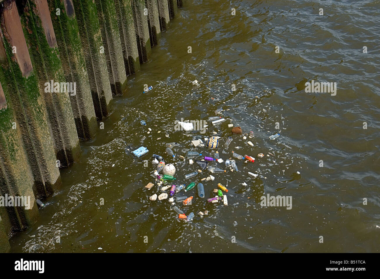 trash rubbish and scum on the river Thames in Blackwall London UK Stock