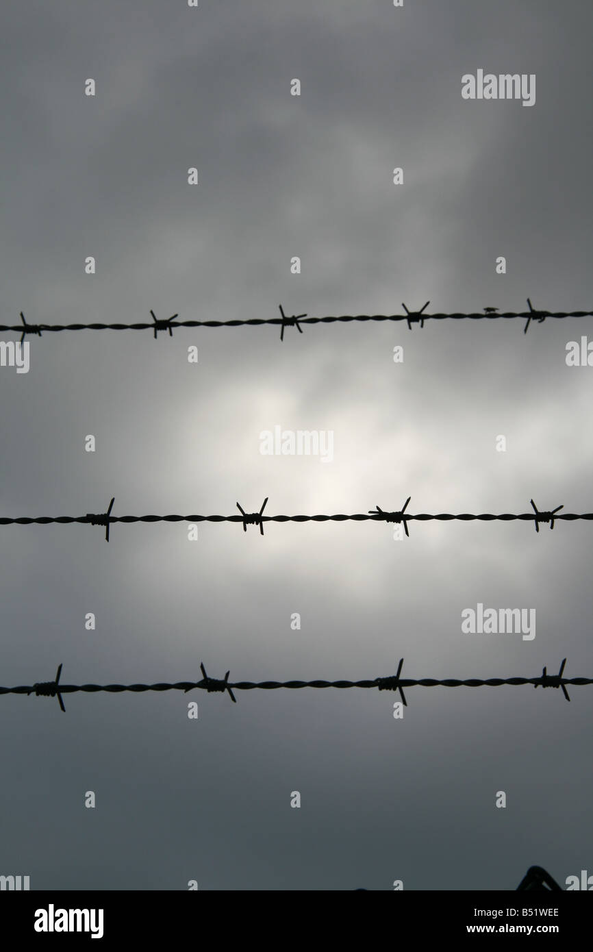 close up of barbed wire fence with dark clouds Stock Photo - Alamy