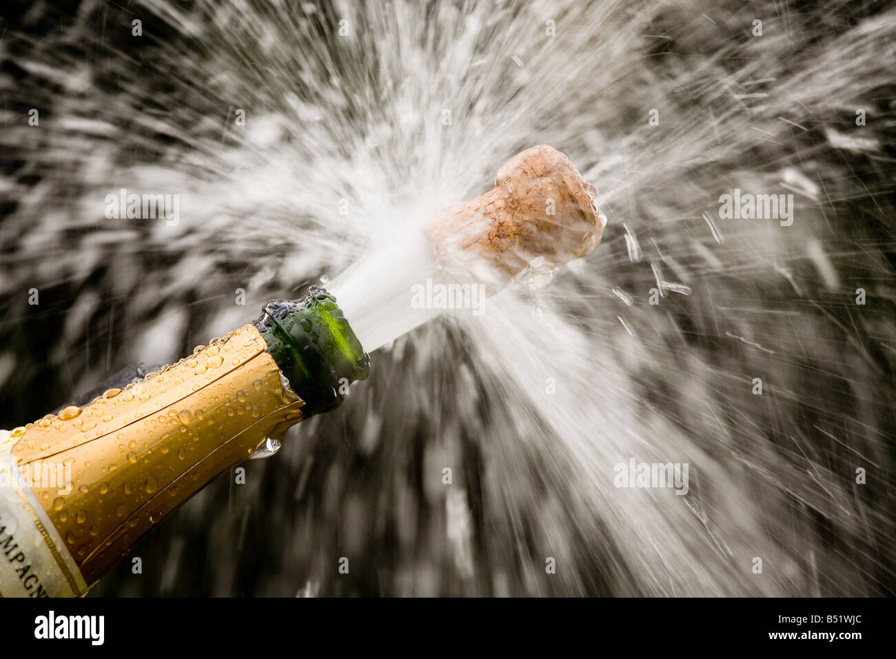 Sparkling wine bottle Stock Photo Alamy