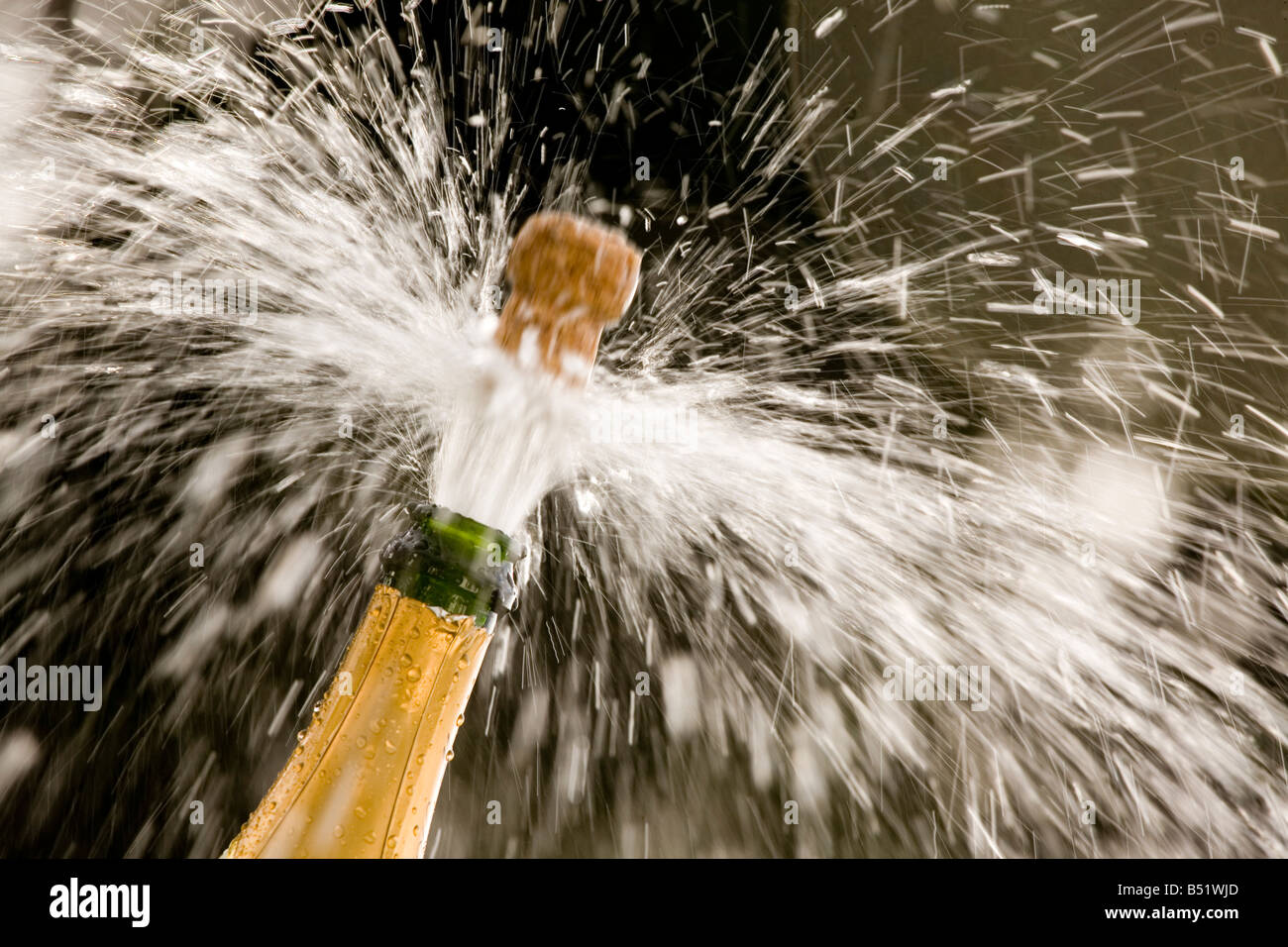 Sparkling wine bottle Stock Photo Alamy