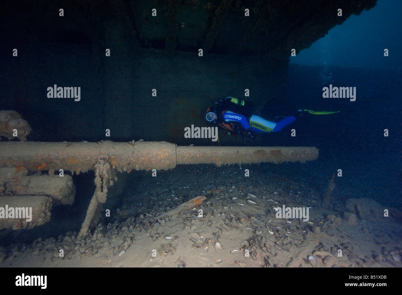 Black Sea Shipwrecks 2011