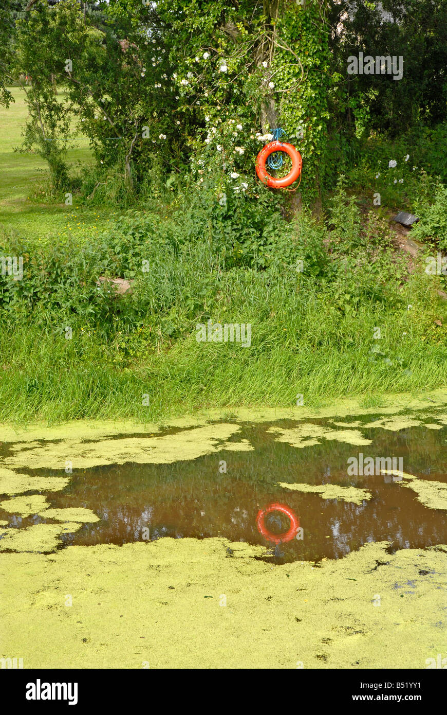 Reflection of red/orange life buoy in weed-covered pond Stock Photo