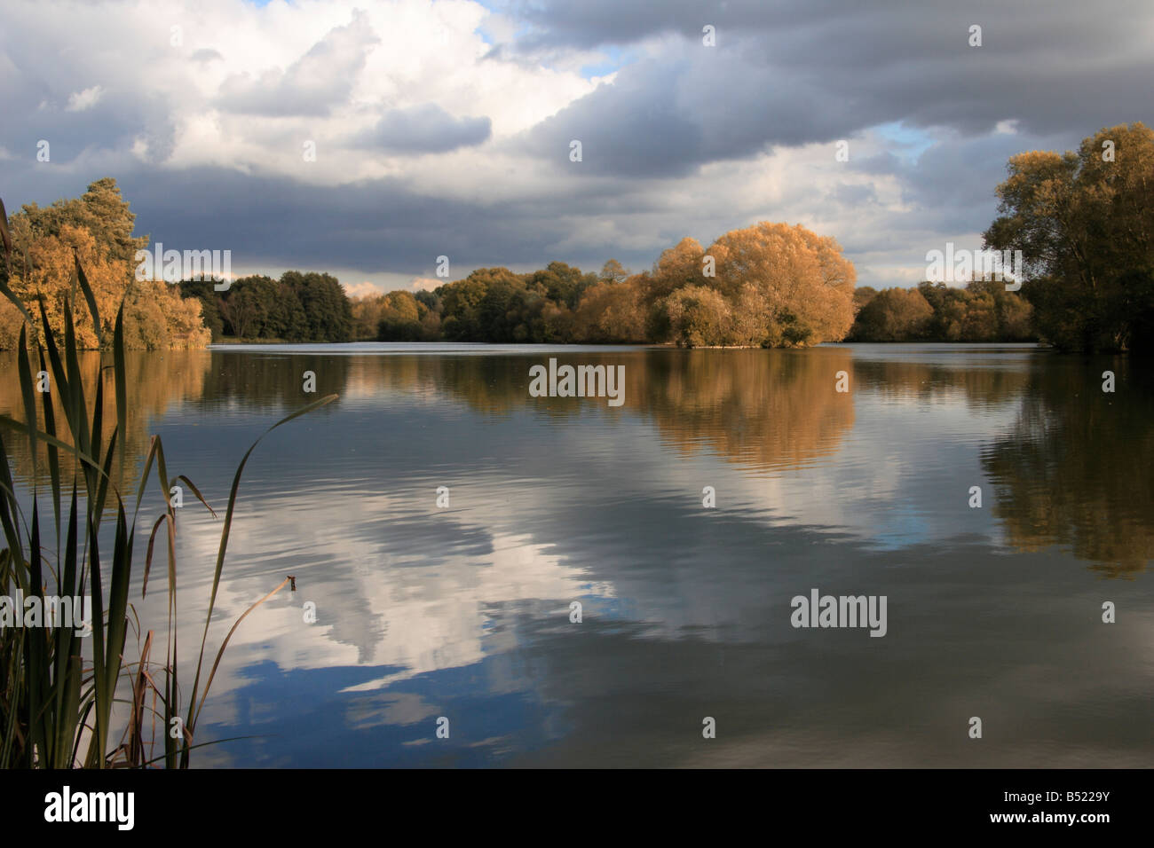The tranquil lake of West Stow country park in Suffolk, England. Stock Photo