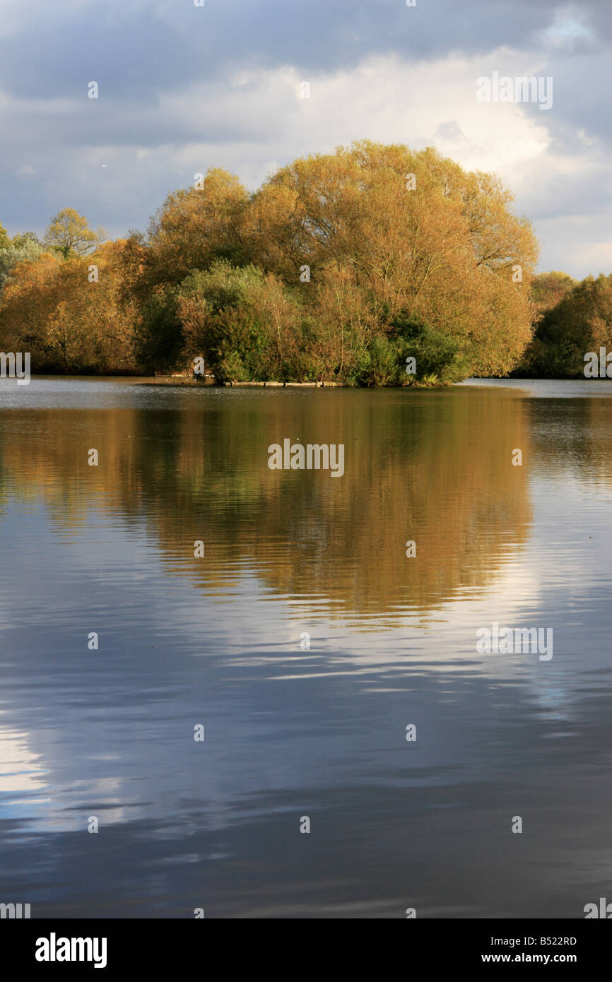 Autumn trees on the shore of 'West Stow' lake in Suffolk, England. Stock Photo