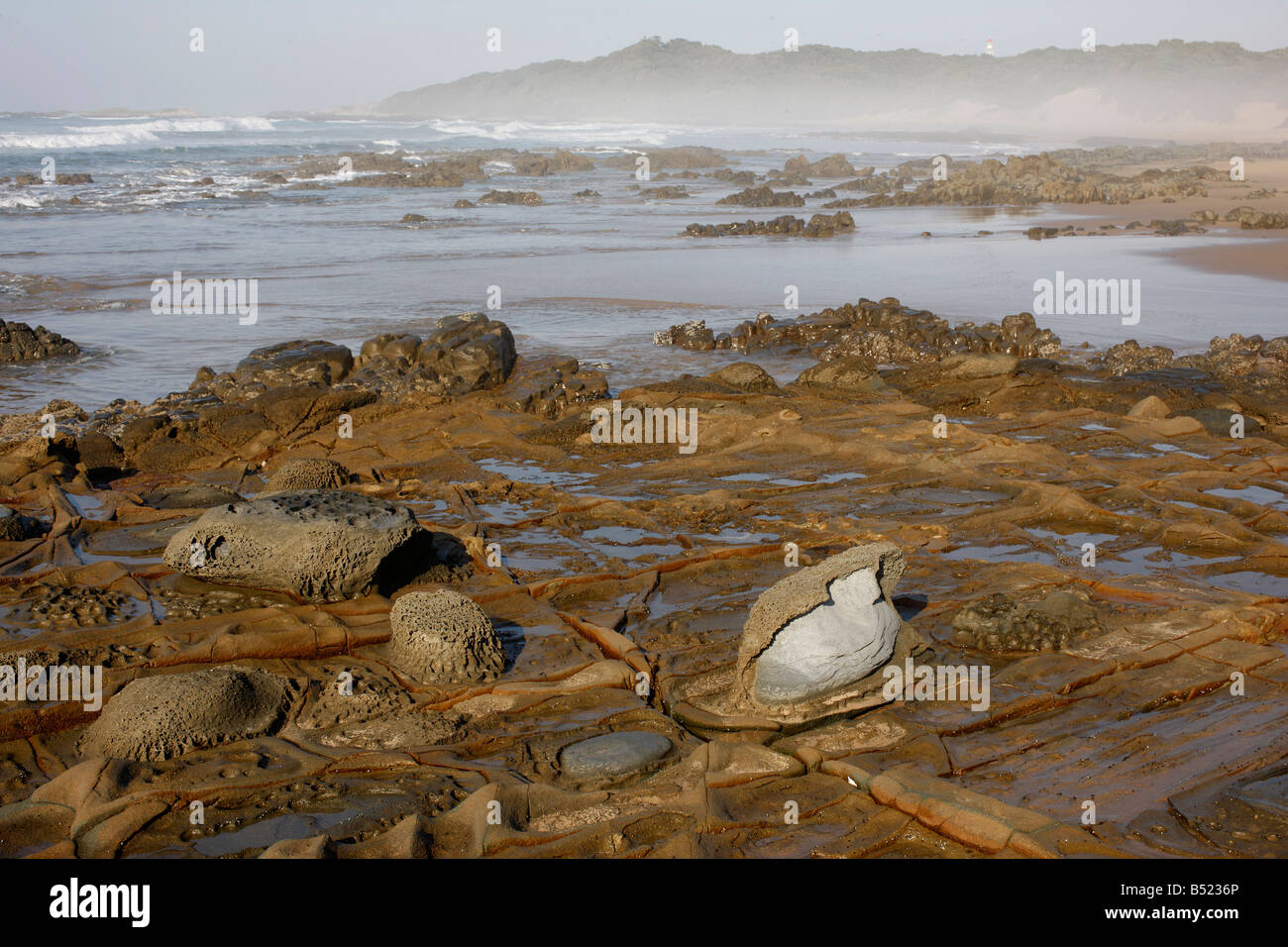 Rocks with Fossils, Wild Coast, South Africa Stock Photo