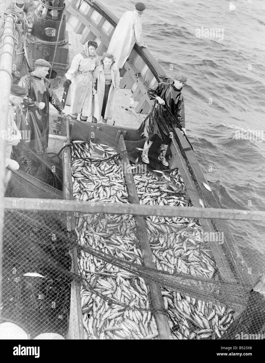 Herring Fishing fleet at Lerwick, Shetland Isles. 1950;Freda Adamson