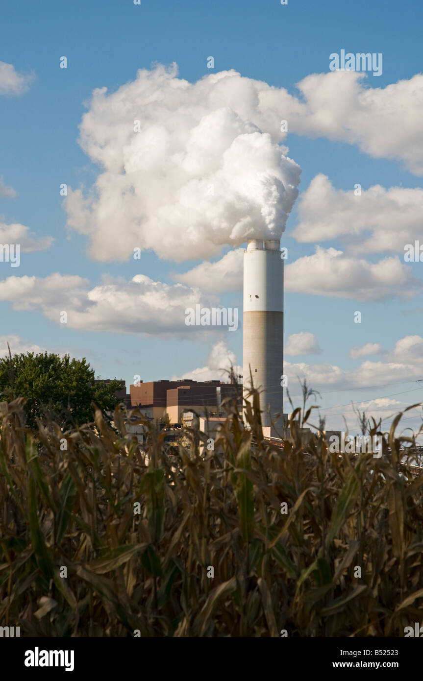 Factory Smokestack next to corn field Stock Photo