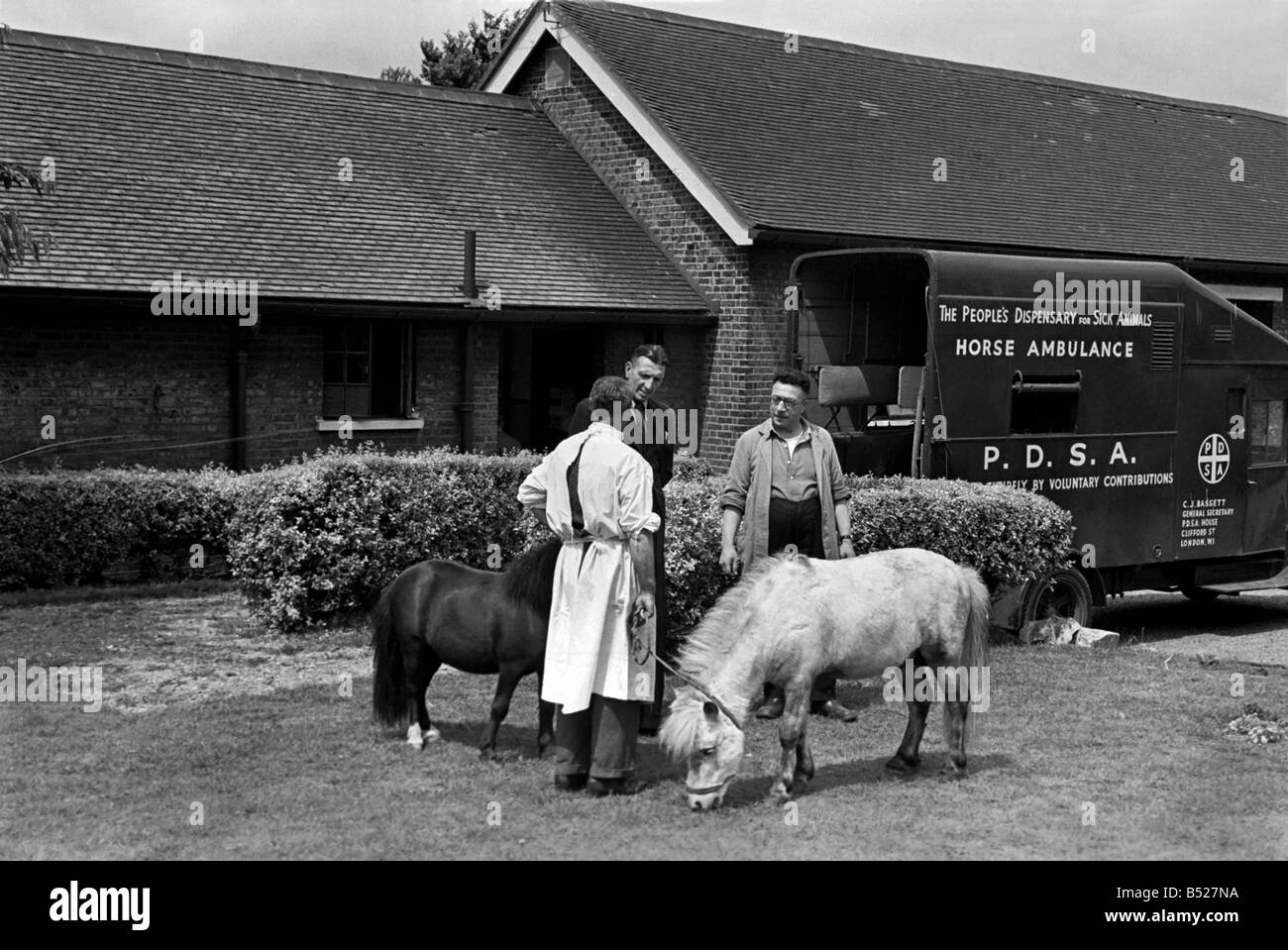 The People's dispensary for sick animals-PDSA Centre. July 1952 C3468-001 Stock Photo - Alamy The People's dispensary for sick animals-PDSA Centre. July 1952 C3468-001 Stock Photo - Alamy