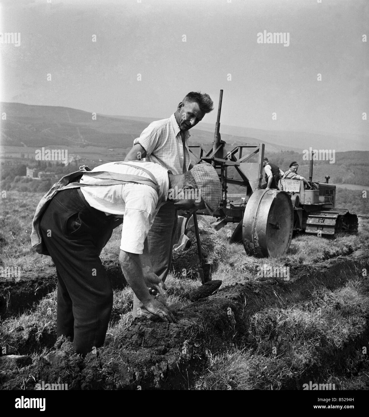 Lord Badner (Chairman of National Forest Committee) trying his hand at planting trees by hand for turning over the earth prior to planting the young spruce trees at Keilder forest. June 1950 O24464 Stock Photo