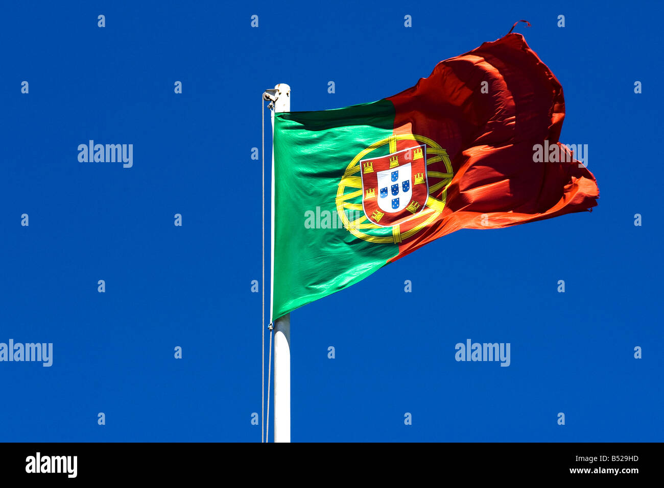 Portuguese flag Stock Photo