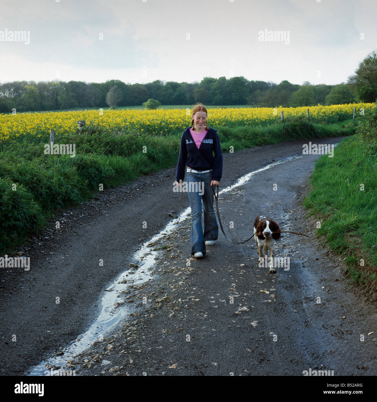 Teenage girl walking her English Springer Spaniel dog. Stock Photo