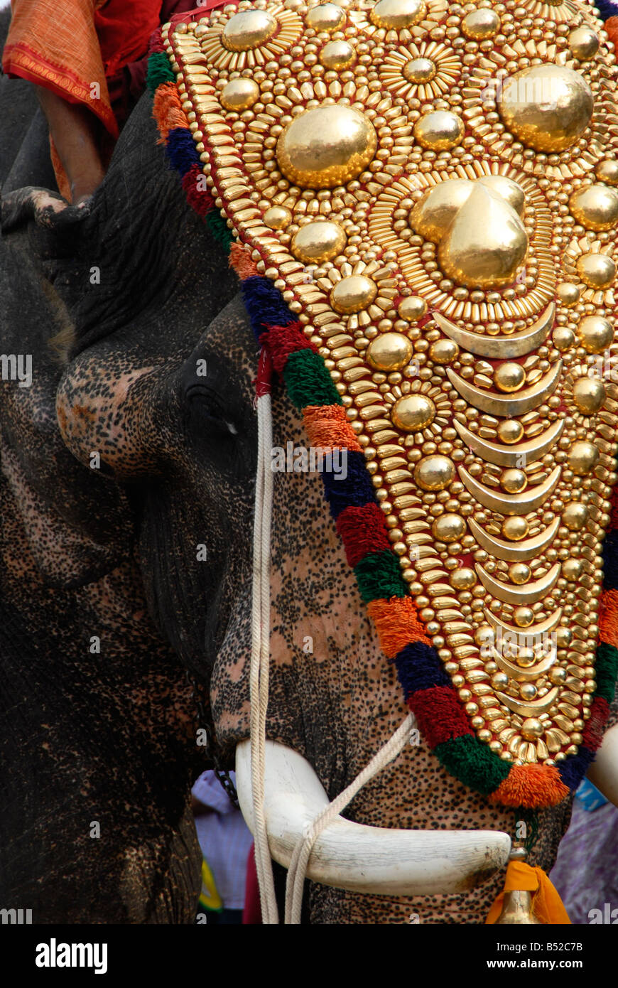 Kerala decorated elephant hires stock photography and images Alamy