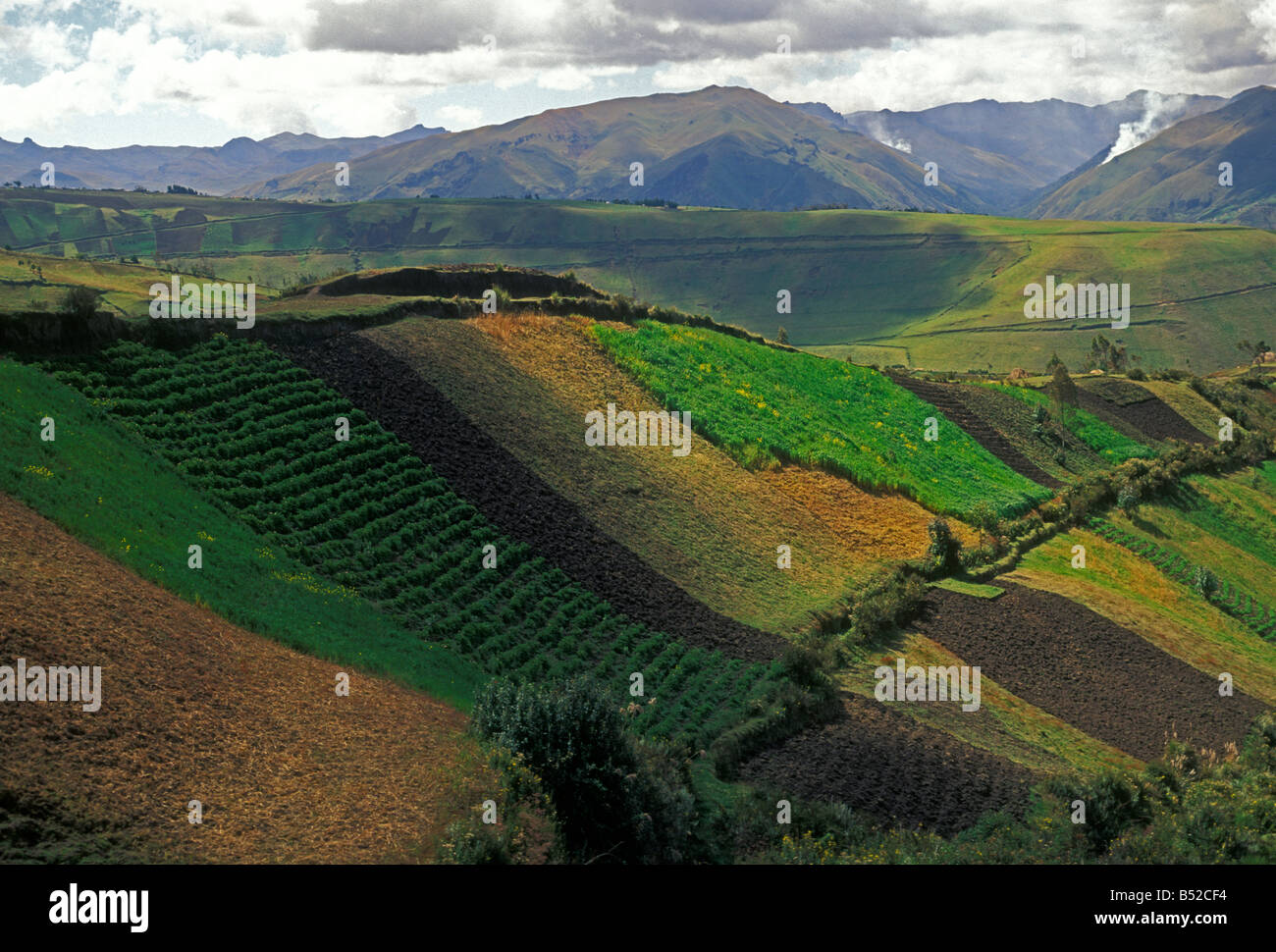 agriculture, agricultural fields, food crop, crops, cropland, farms