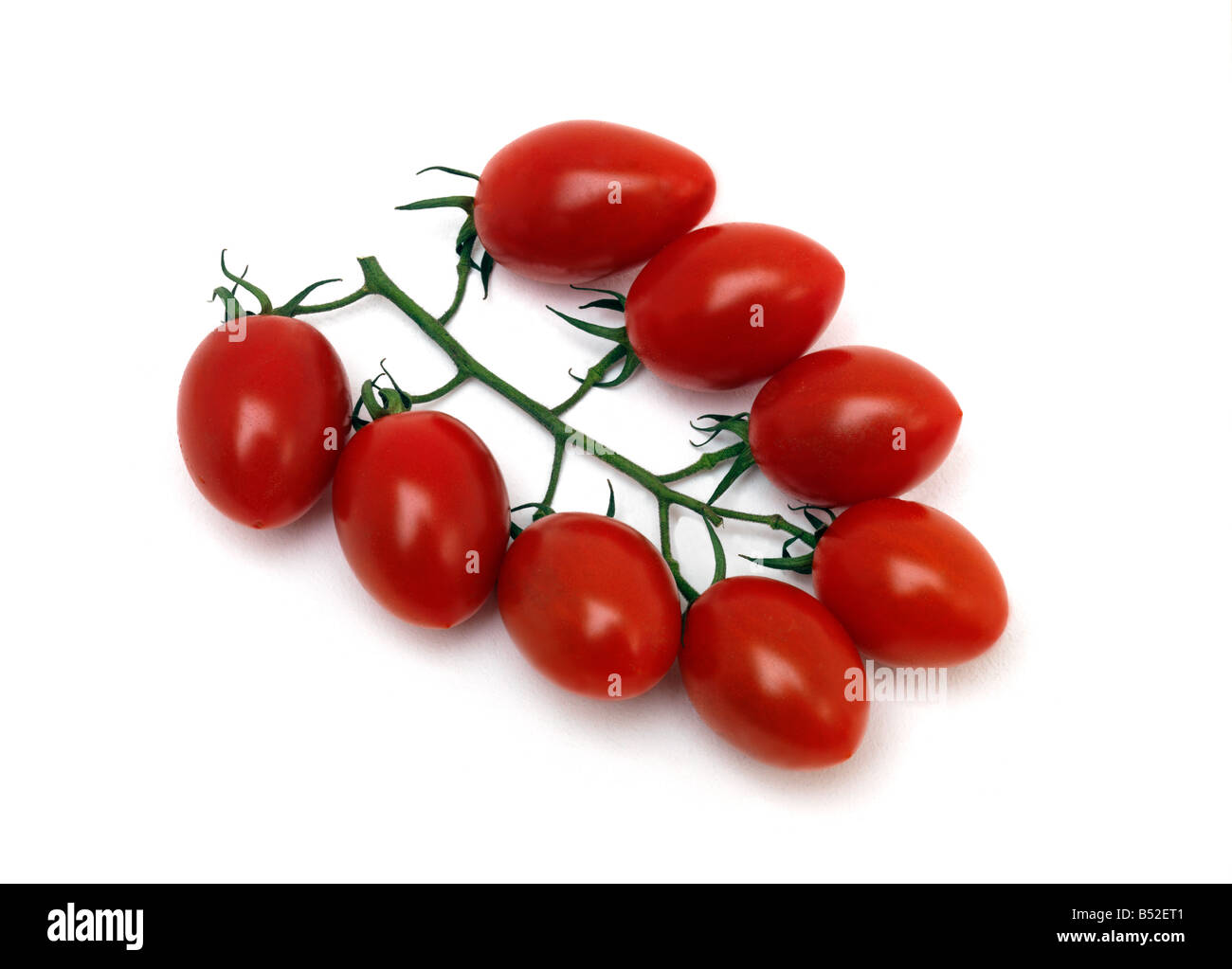 Red Plum Tomatoes on a Vine Stock Photo