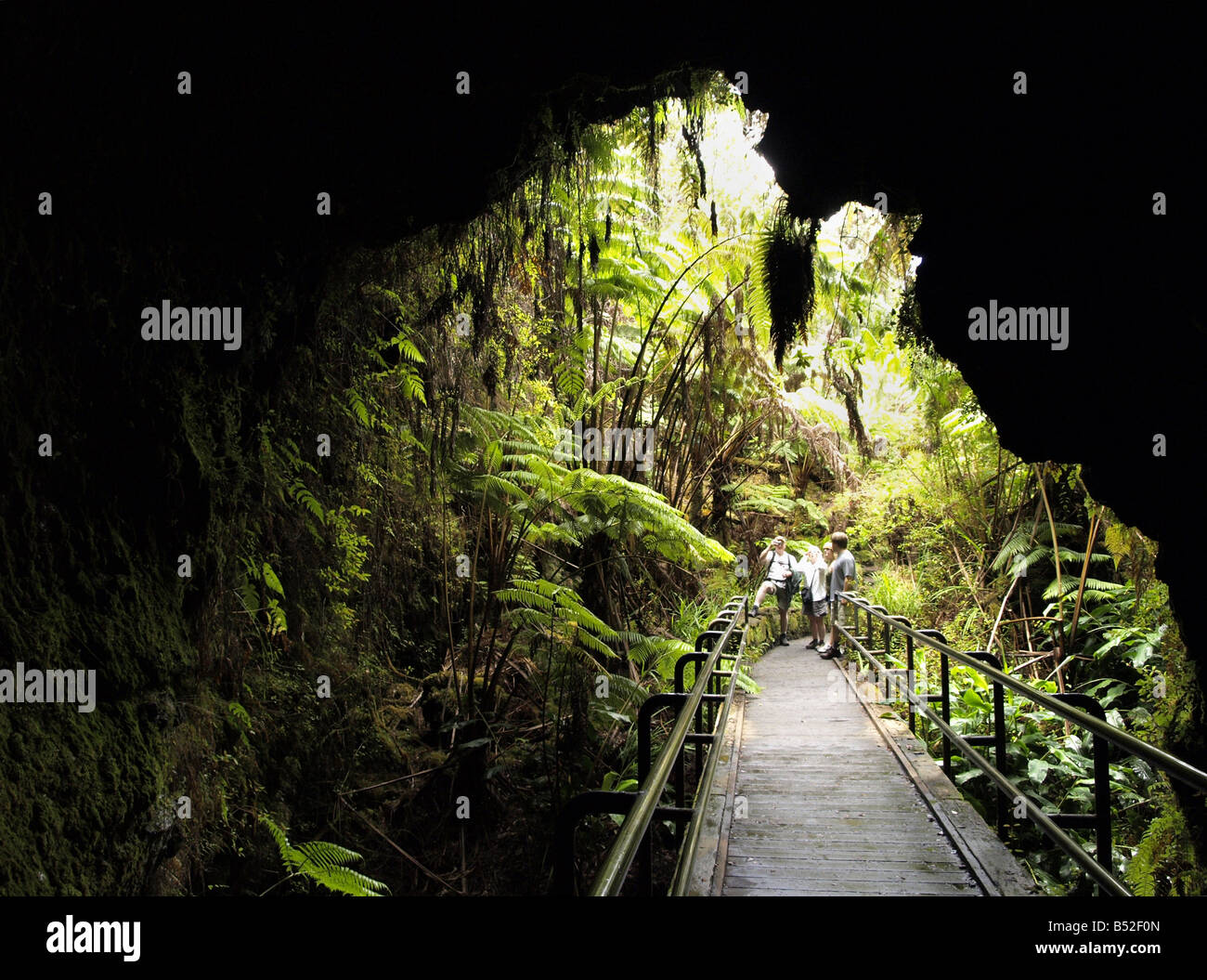 Thurston lava tube Stock Photo - Alamy