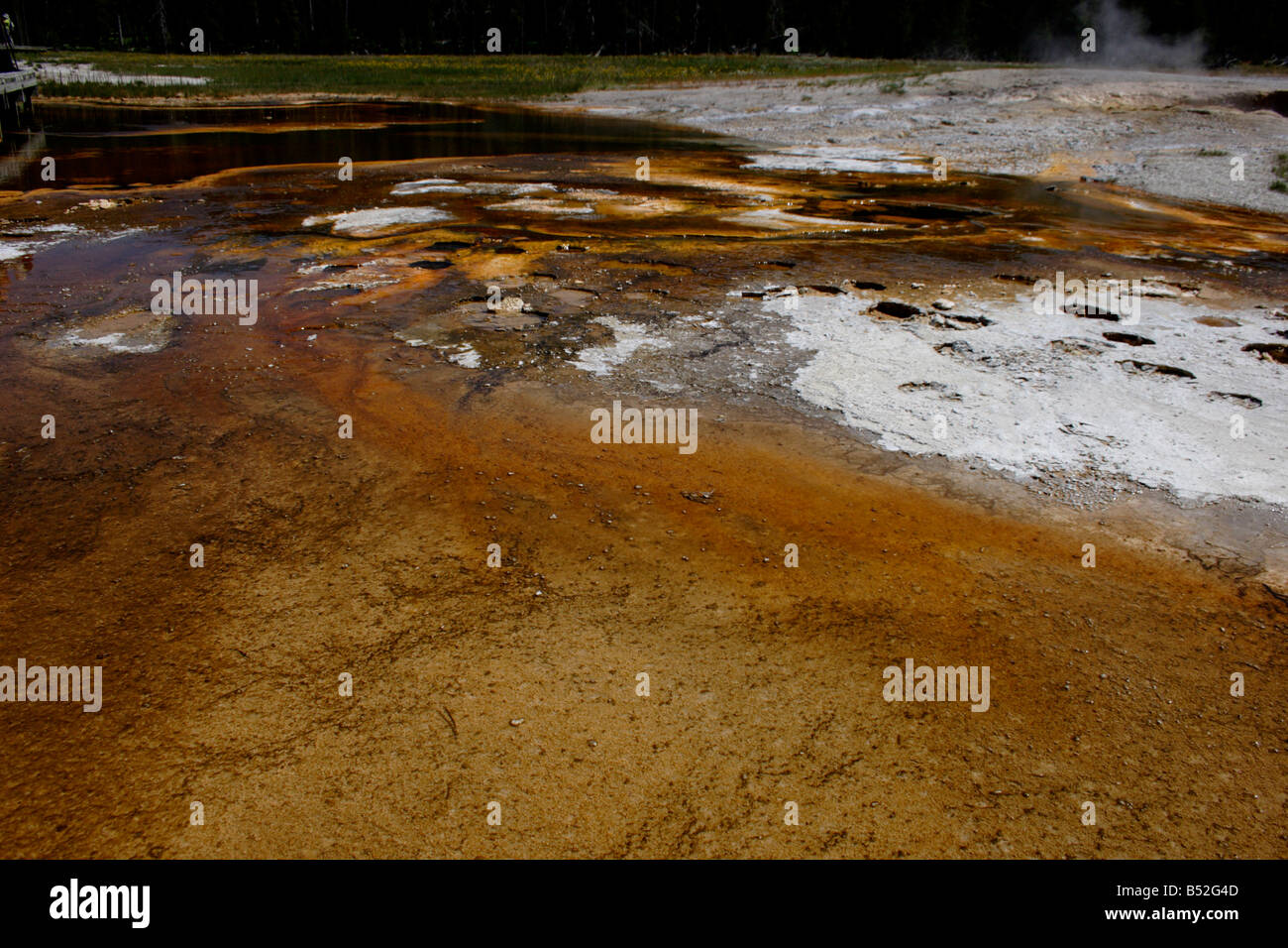 Geothermal formations & colours created by microbial activity and mineral deposits at Upper Geyser Basin Yellowstone Park Stock Photo