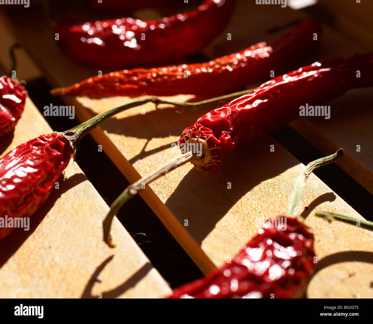 red drying chilli peppers spread on rack in sun Stock Photo