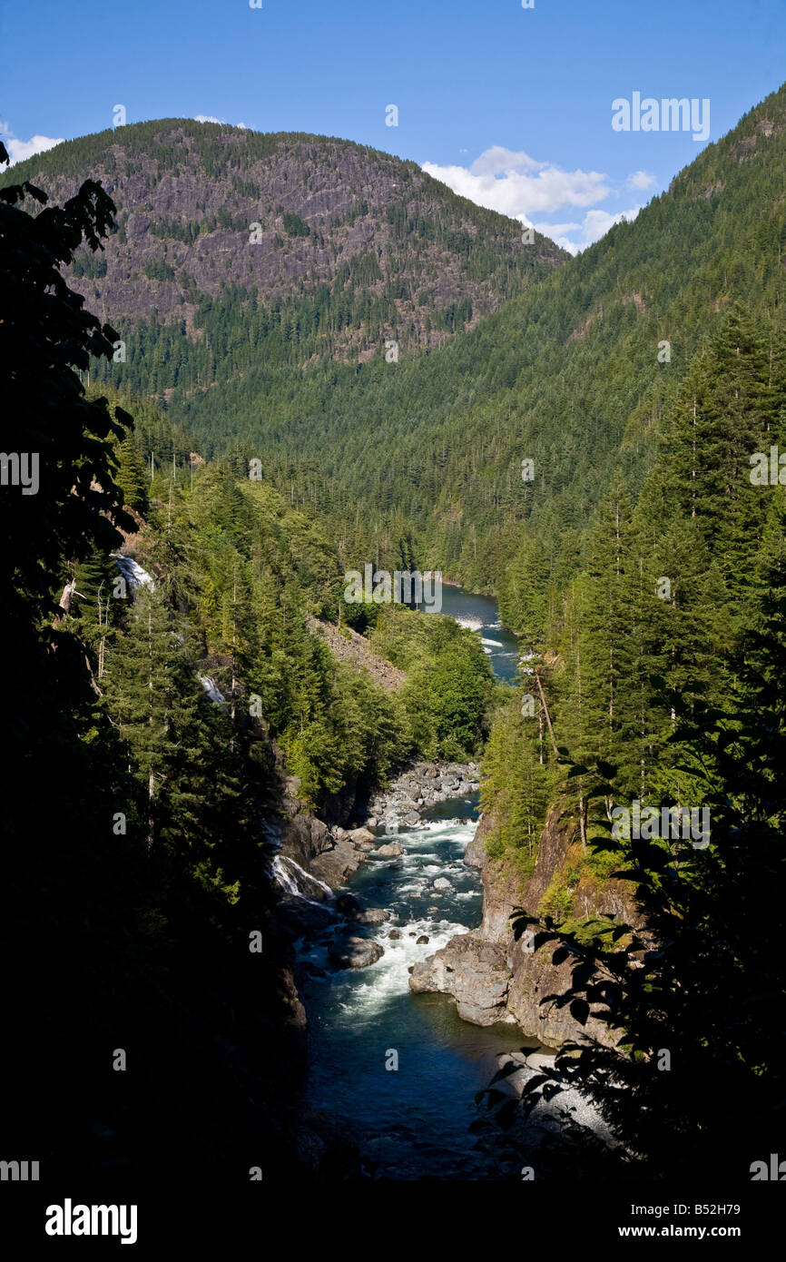 stream waterfall Gold River Vancouver Island British Columbia Canada Stock Photo