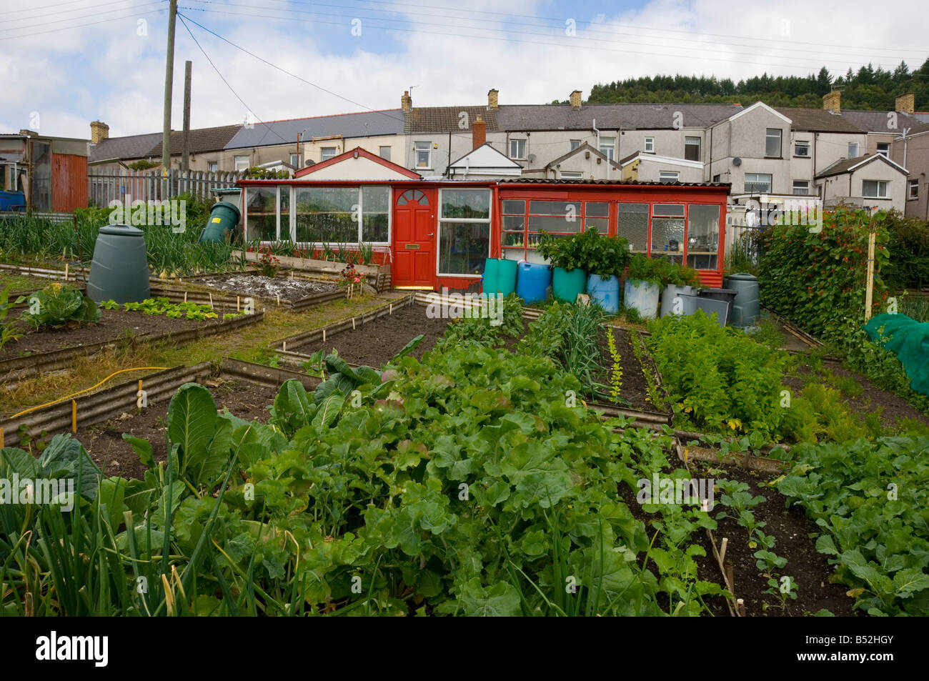 Allotments Edwardsville Merthyr Tydfil Mid South Wales Stock