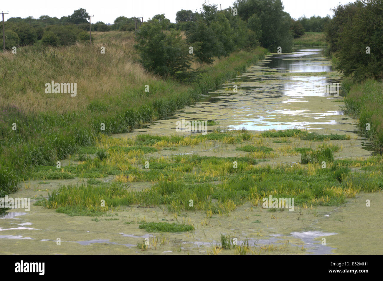 slow moving stagnant river glen pinchbeck lincolnshire the fens england Stock Photo