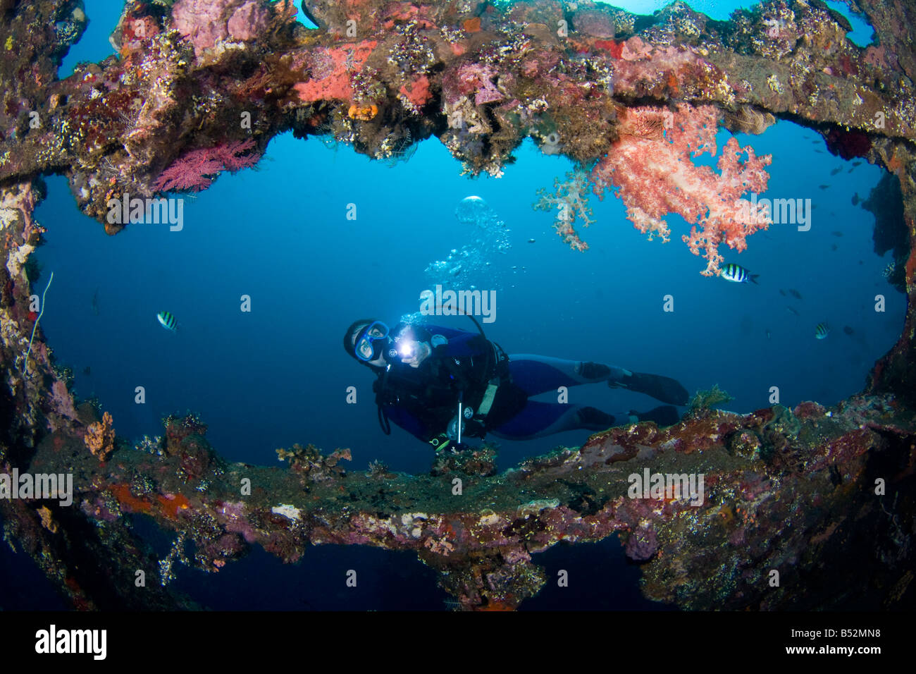 A diver, exploring the Liberty wreck, Tulamben Bali, Indonesia. Stock Photo