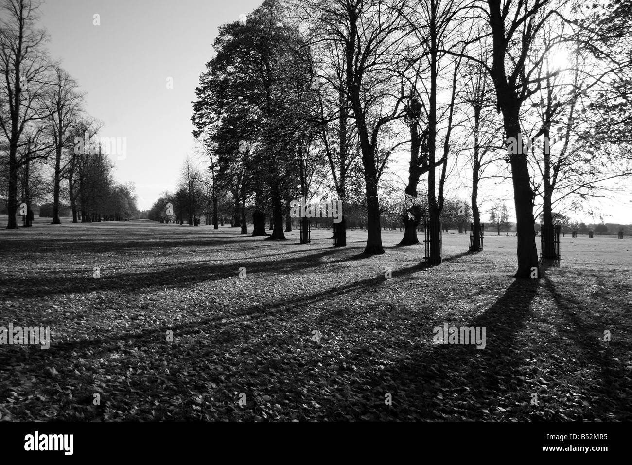 A moody view across Palace Gardens at Hampton Court Palace, near Richmond, England. Stock Photo