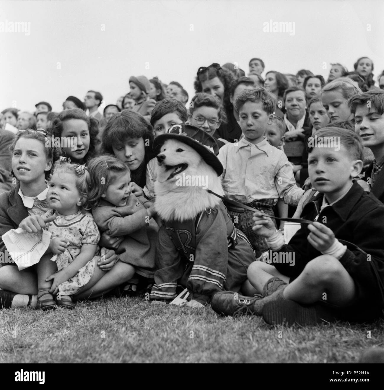 Sally, two year old Samoyed who got first prize dressed as a Beefeater at the Children's Dog Show, Southwark Park Bermondsey. June 1953 D2939 Stock Photo
