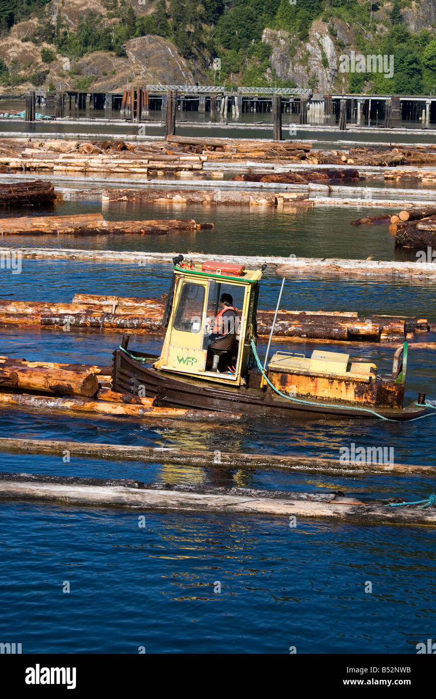 Lumber Mill Gold River Vancouver Island British Columbia Canada Stock