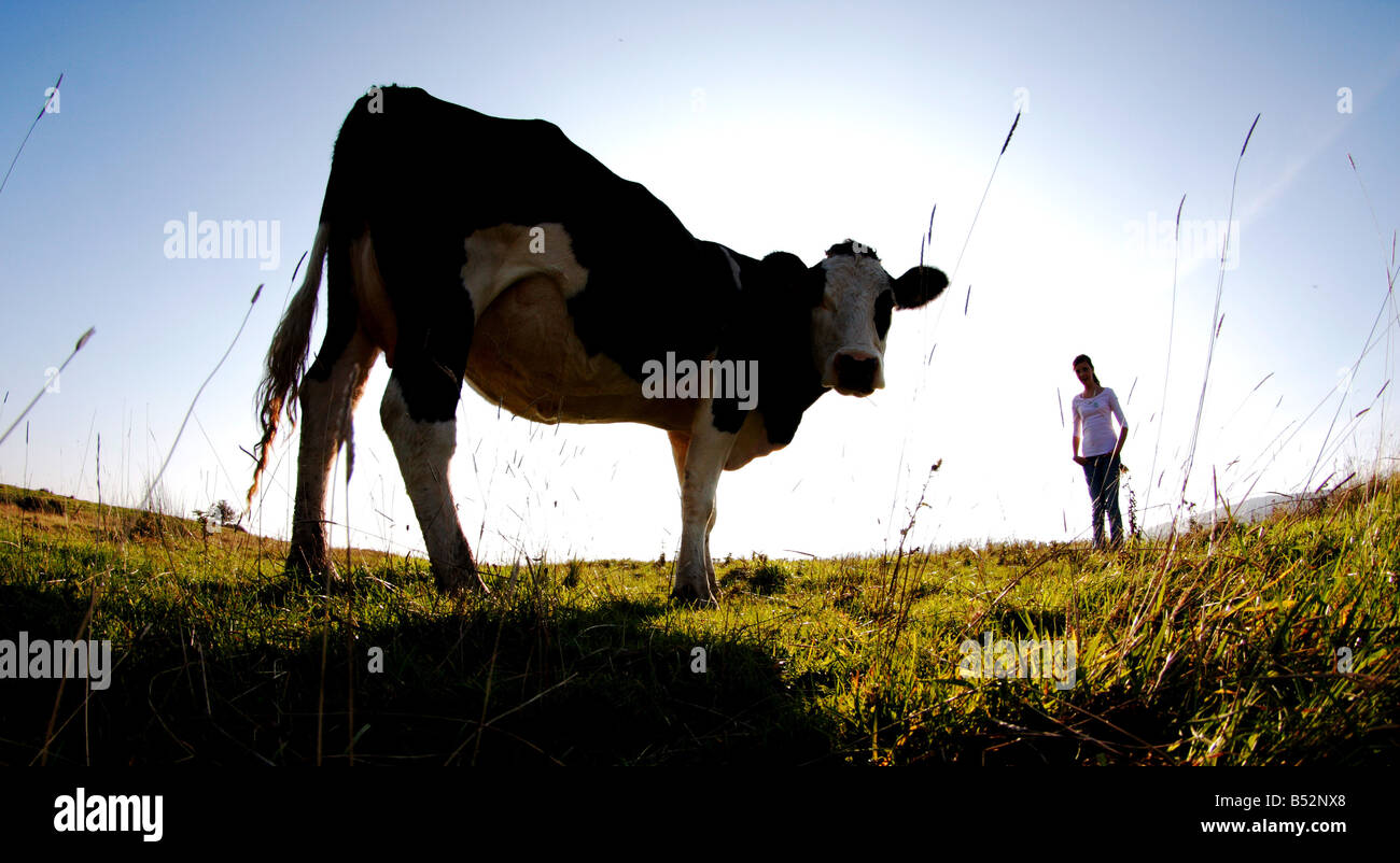 Cow girl hi-res stock photography and images - Alamy