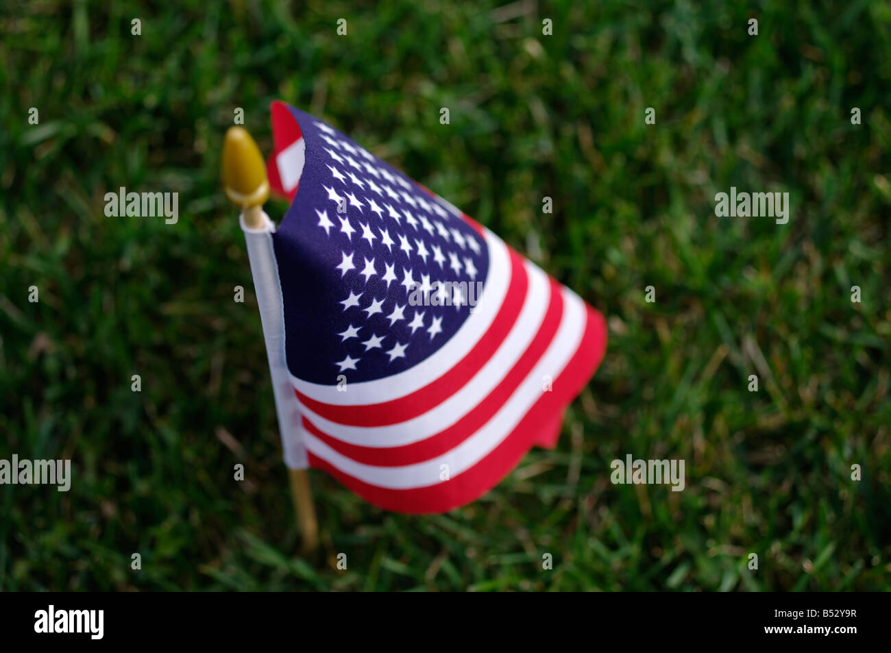 American flag in the grass shallow field of view Stock Photo