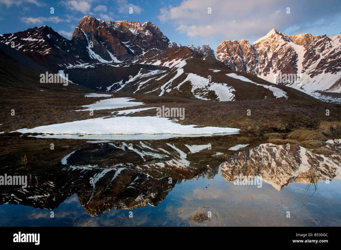 Babel Tower & South Buttress reflect in alpine pond Revelation