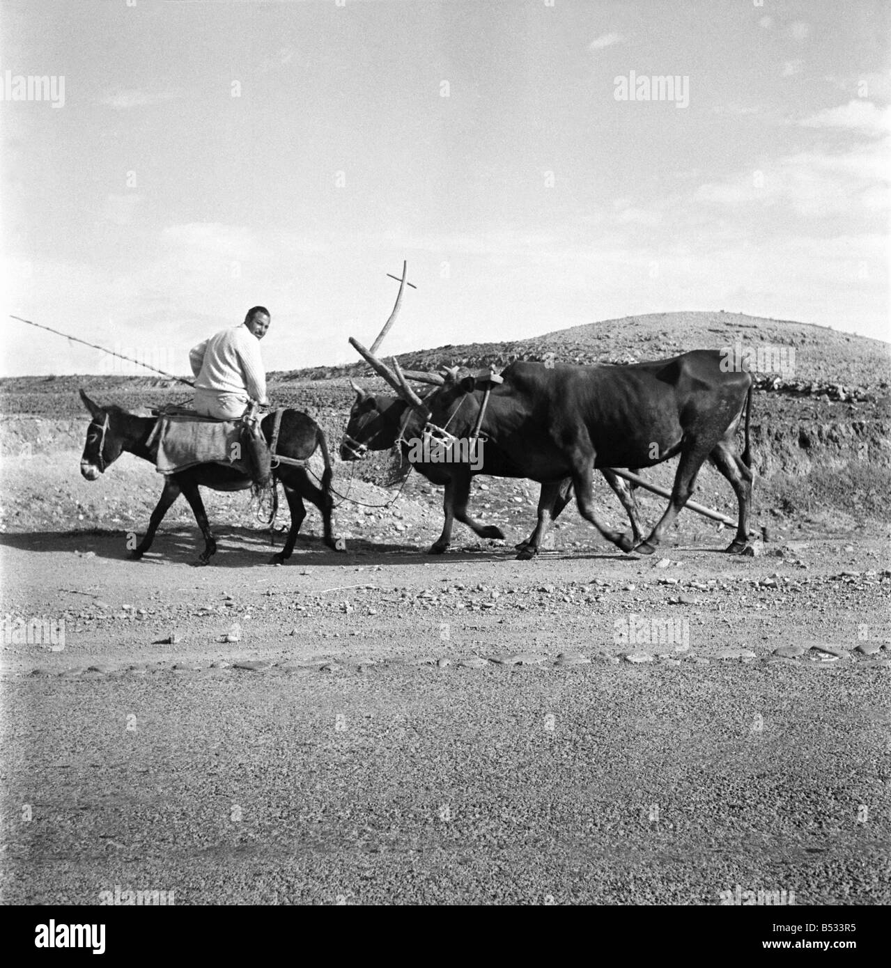 Peasant farming Black and White Stock Photos & Images Alamy